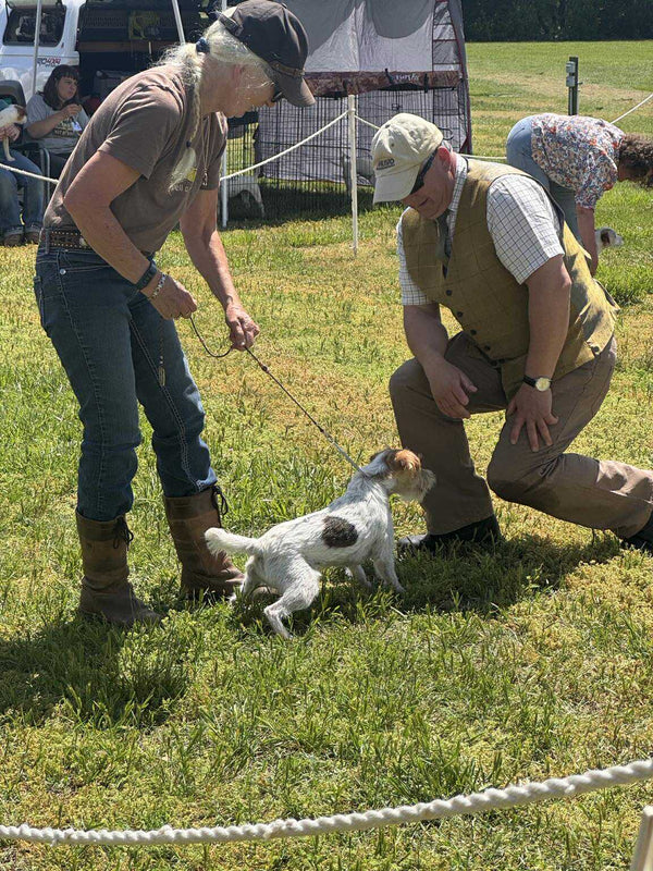 Dog with people