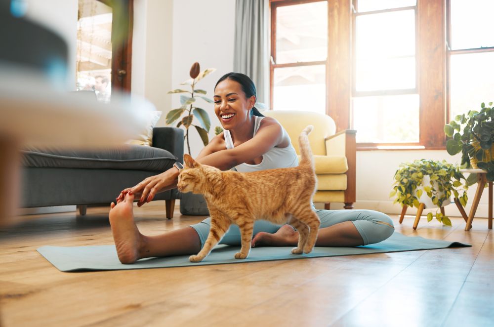 Plant-Based Minerals Can Support Your Pet’s Detox Journey
