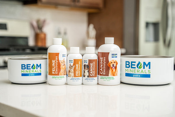BEAM Minerals Pets