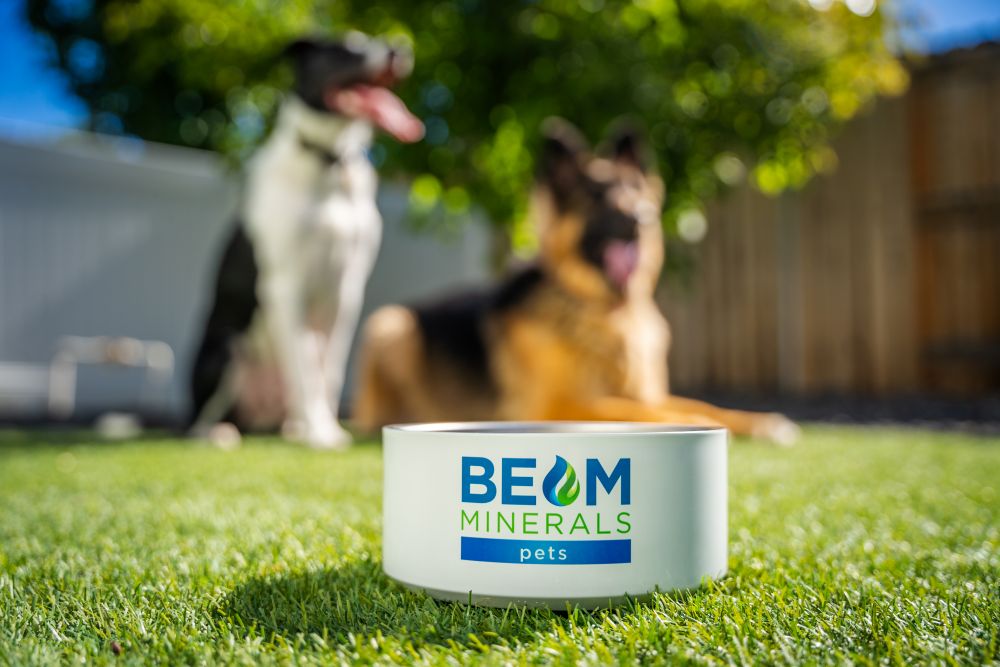 BEAM Minerals bowl